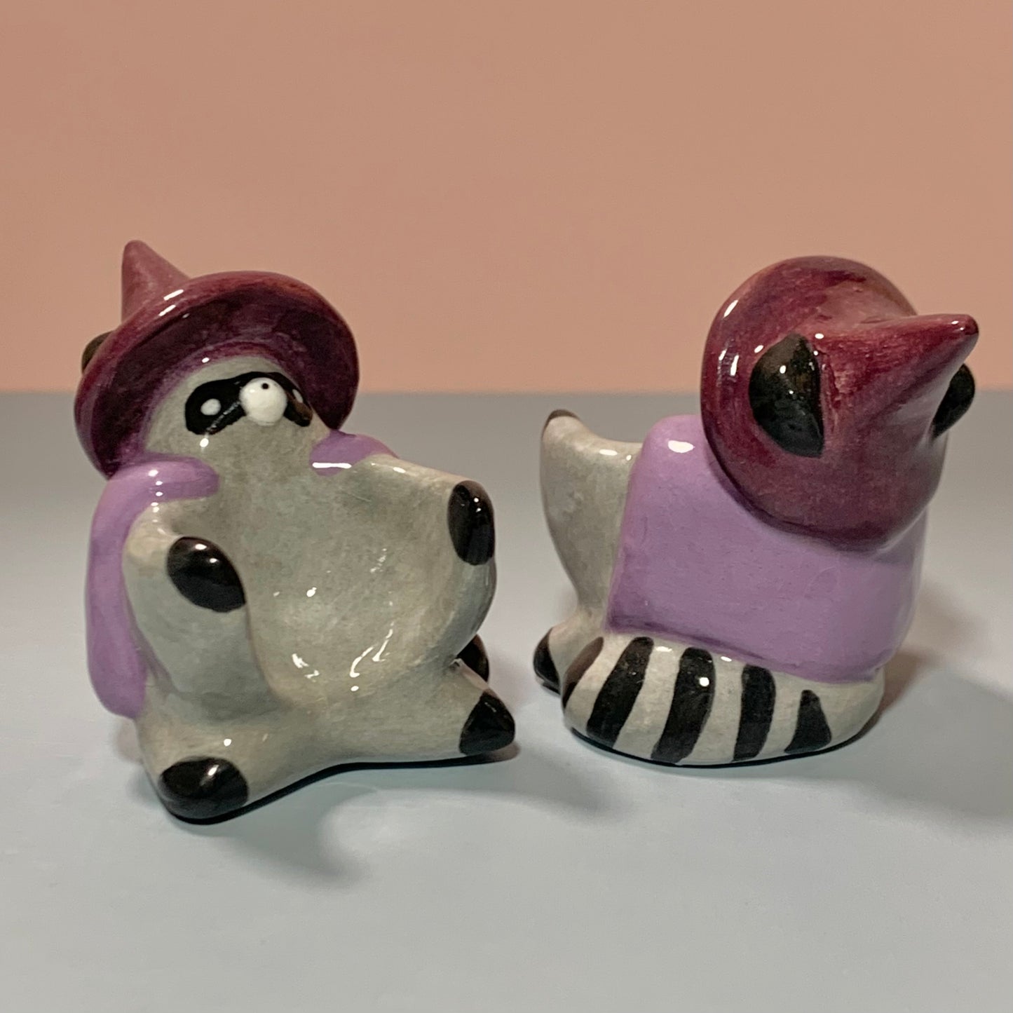 Wizard Raccoon Dnd Companion D20 Holder