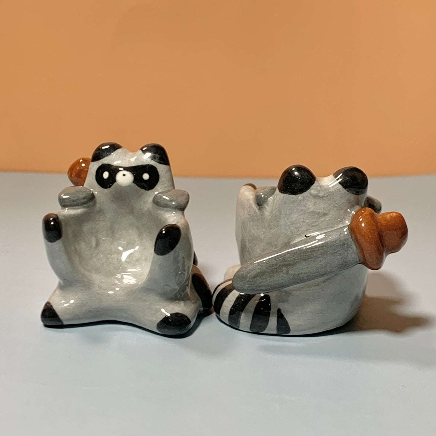 Raccoon Dnd Companion D20 Holder