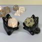 Black Cat Dnd Companion D20 Holder
