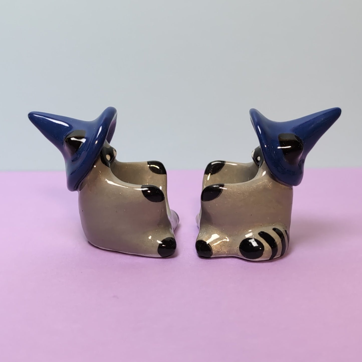 Raccoon Wizard Dnd Companion D20 Holder
