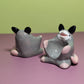 Dnd Possum Companion D20 Holder