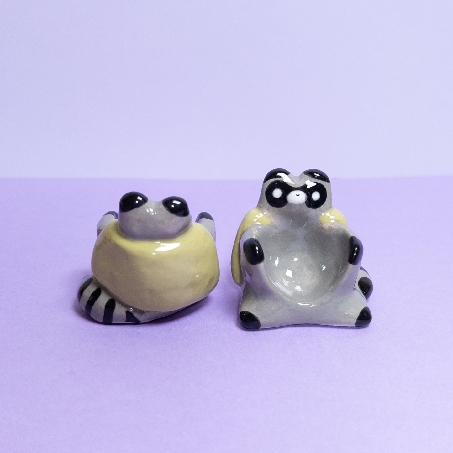 Raccoon with Cloak Dnd Companion D20 Holder